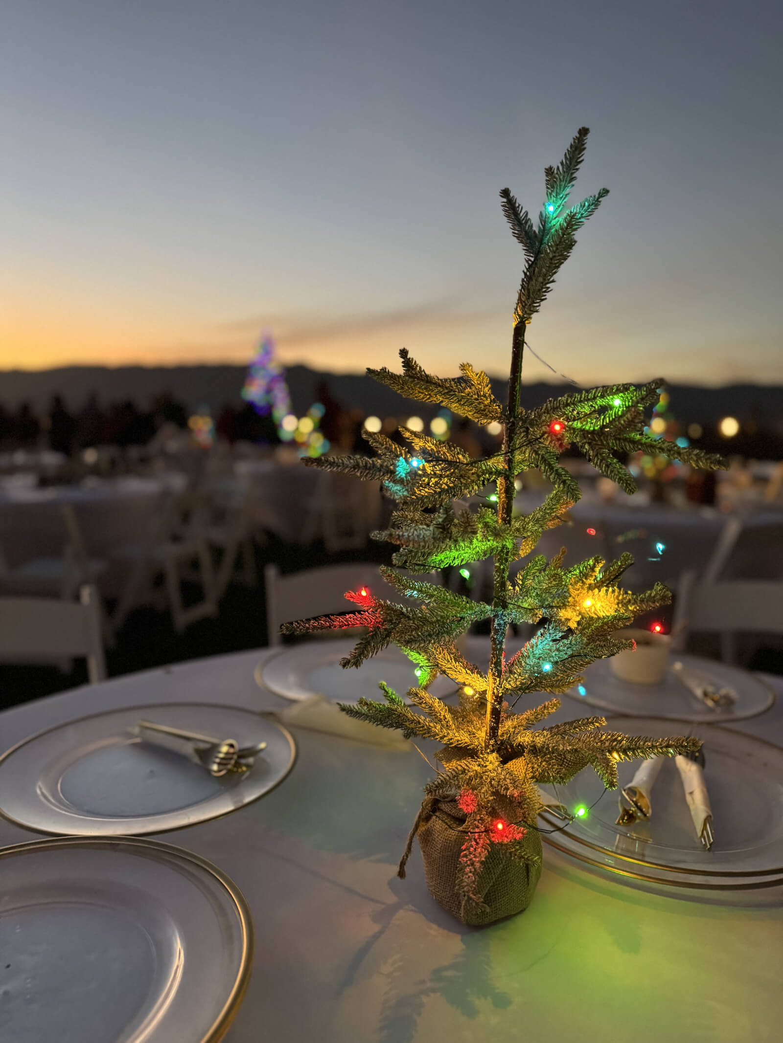 Small lit tree as part of a holiday tablescape